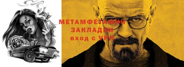прущие грибы Сатка