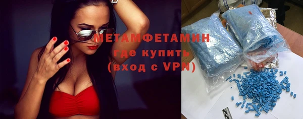 прущие грибы Сатка