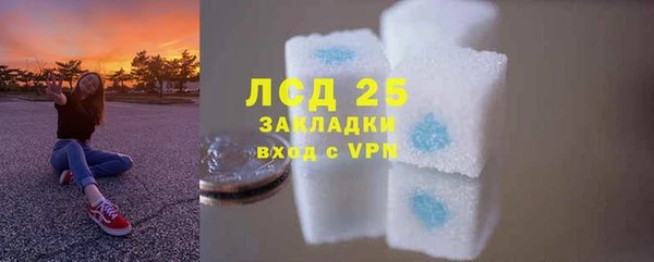 прущие грибы Сатка
