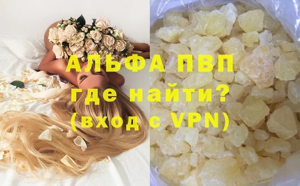 прущие грибы Сатка