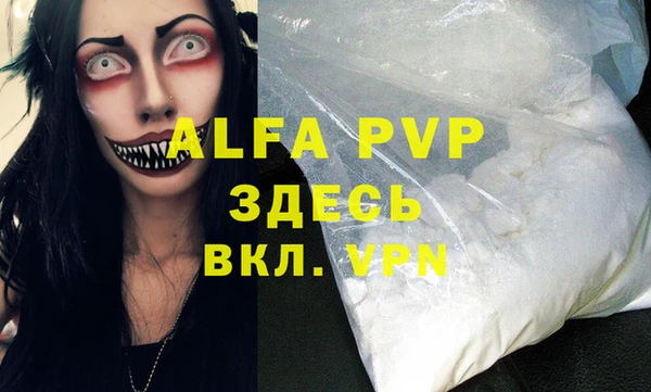 прущие грибы Сатка