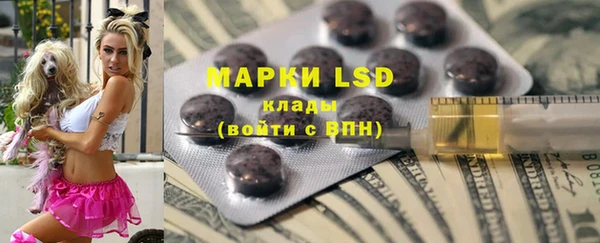 прущие грибы Сатка